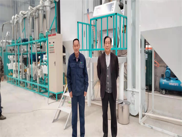 許昌小米加工設(shè)備安裝成功