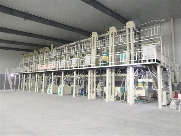 150噸玉米加工設(shè)備